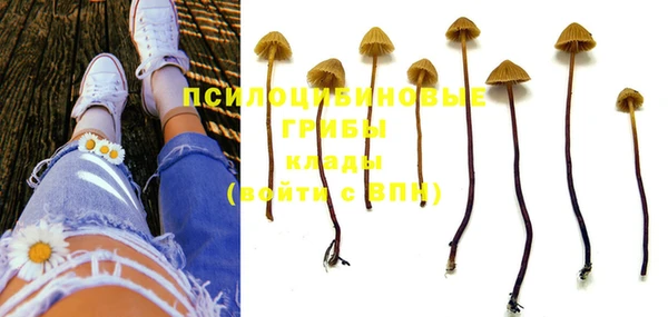 PSILOCYBIN Белоозёрский
