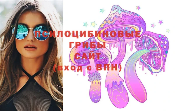 PSILOCYBIN Белоозёрский