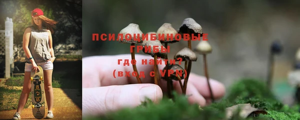 PSILOCYBIN Белоозёрский