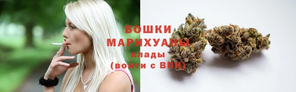 PSILOCYBIN Белоозёрский