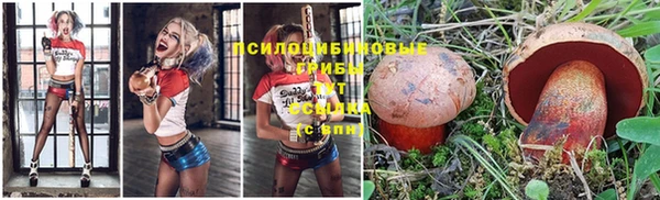 PSILOCYBIN Белоозёрский
