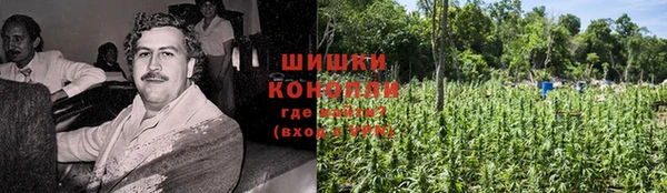 PSILOCYBIN Белоозёрский