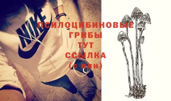 амф Белокуриха