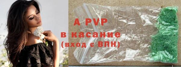 PSILOCYBIN Белоозёрский